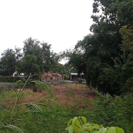 Nita Homestay Banyuwangi  Exteriér fotografie