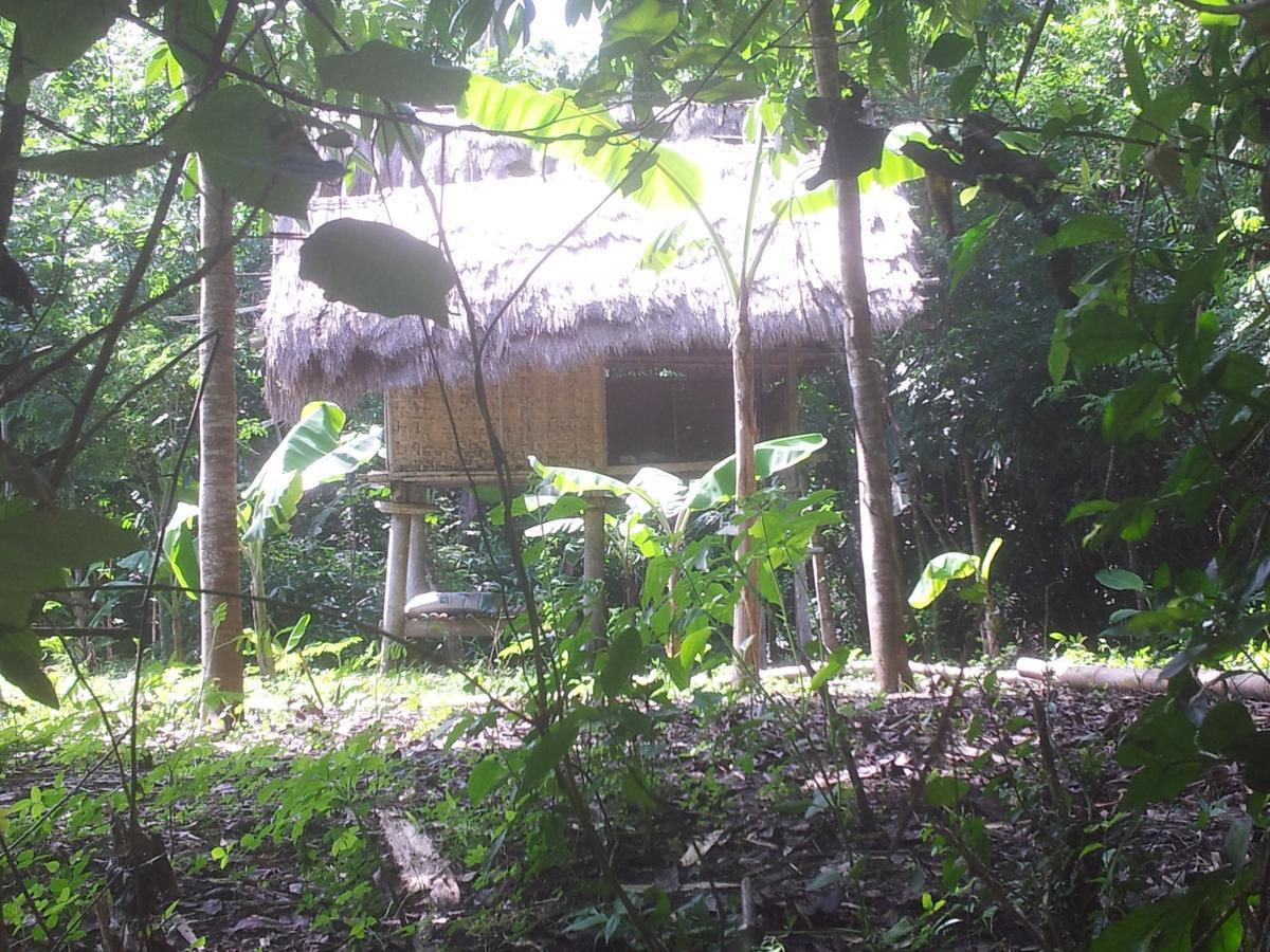 Nita Homestay Banyuwangi  Exteriér fotografie