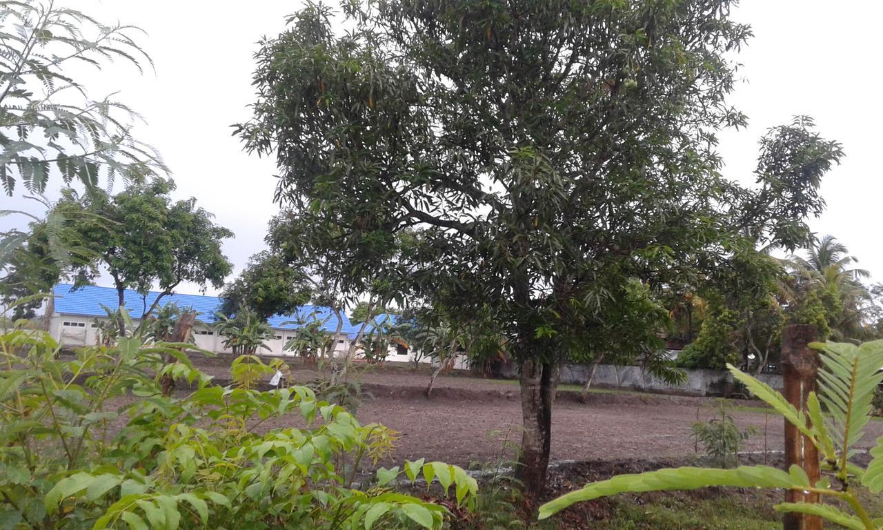 Nita Homestay Banyuwangi  Exteriér fotografie