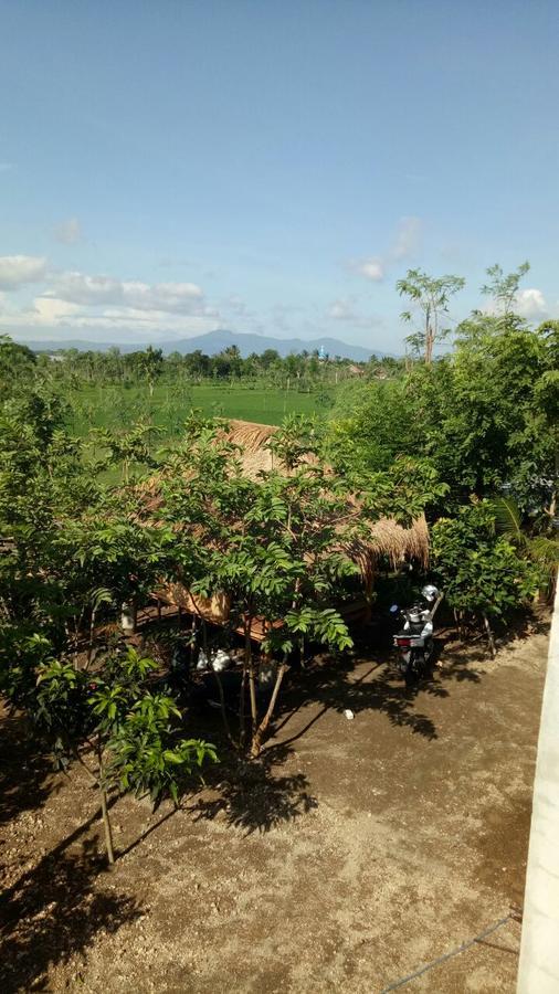 Nita Homestay Banyuwangi  Exteriér fotografie