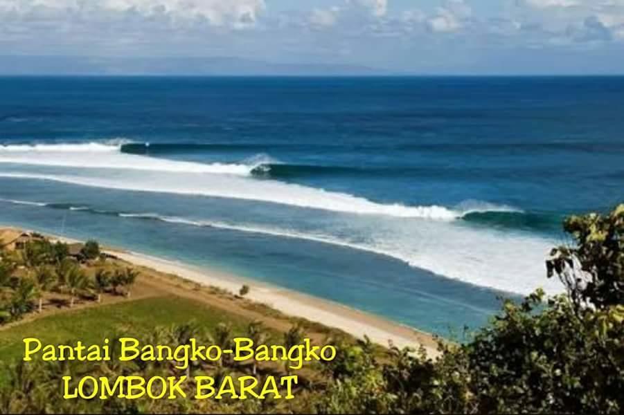 Nita Homestay Banyuwangi  Exteriér fotografie