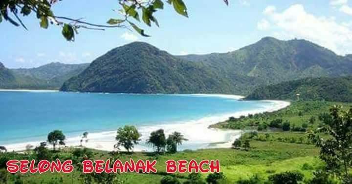 Nita Homestay Banyuwangi  Exteriér fotografie