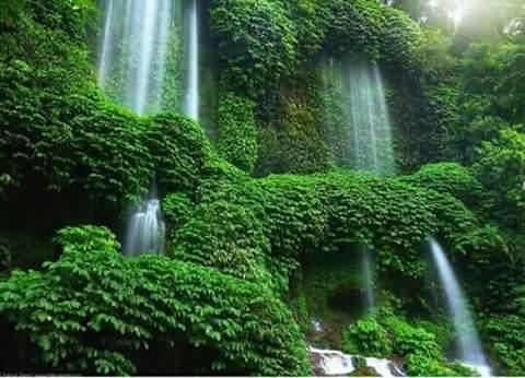 Nita Homestay Banyuwangi  Exteriér fotografie