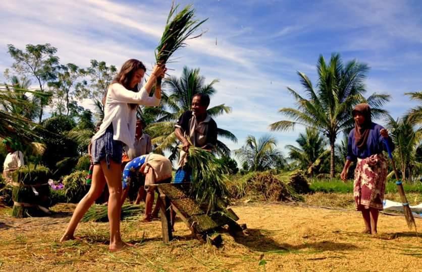 Nita Homestay Banyuwangi  Exteriér fotografie